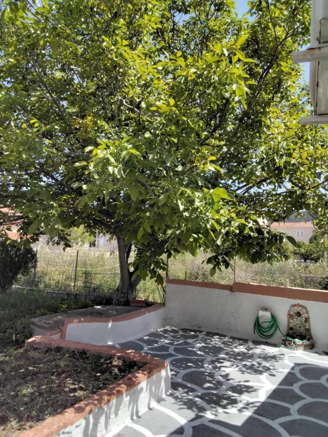 Ralloy Hoyse Sami  Dış mekan fotoğraf